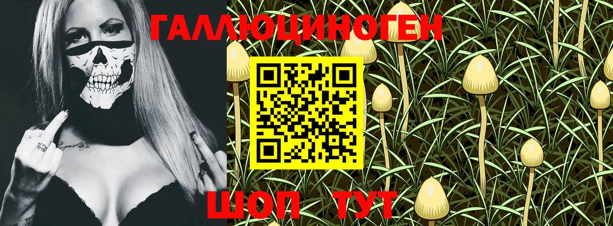 Полевской  Псилоцибиновые грибы MAGIC MUSHROOMS  Вход с VPN 